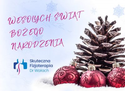 Wesołych Świąt Bożego Narodzenia
