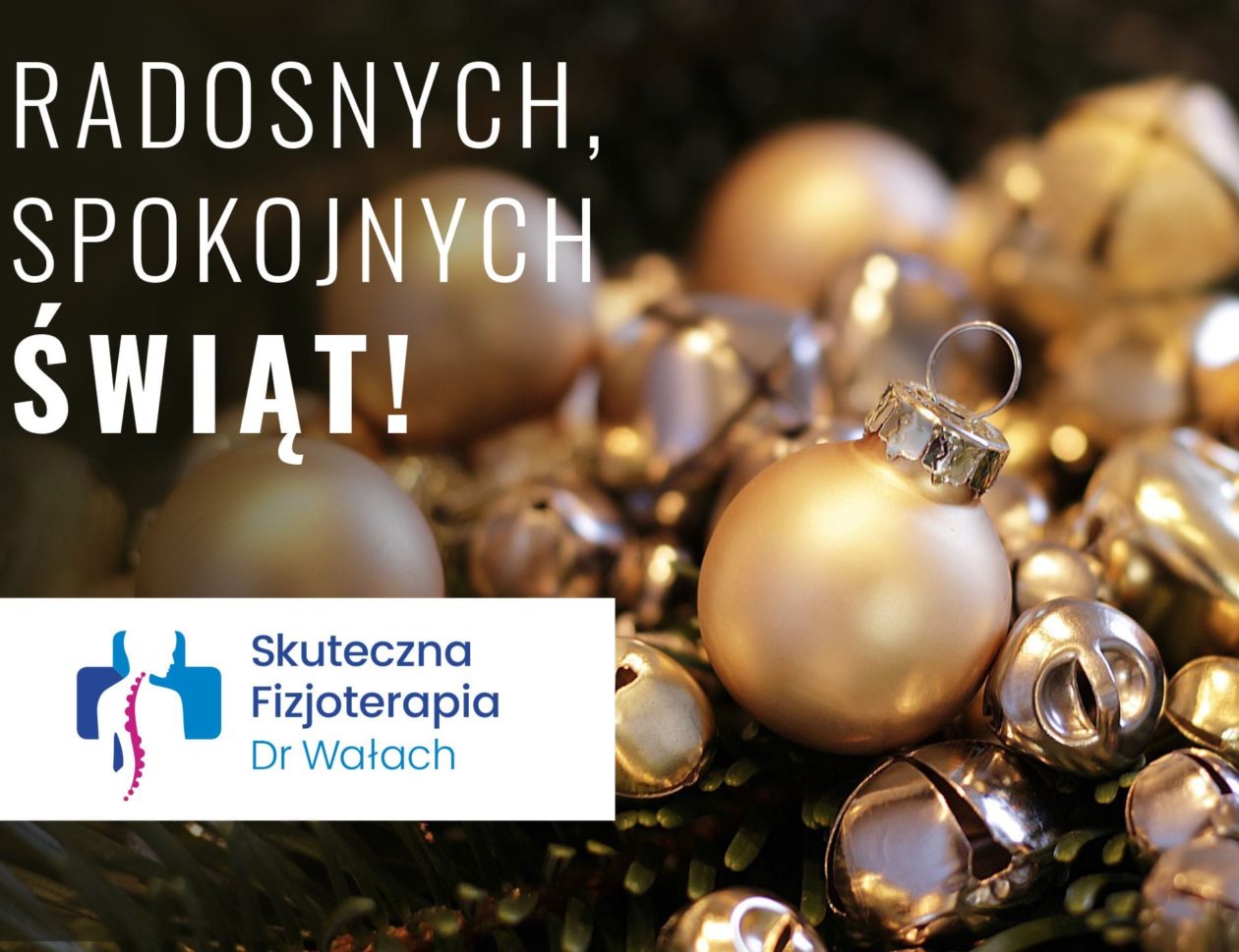 Wesołych Świąt Bożego Narodzenia