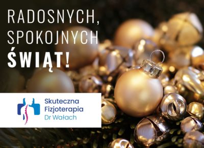 Wesołych Świąt Bożego Narodzenia